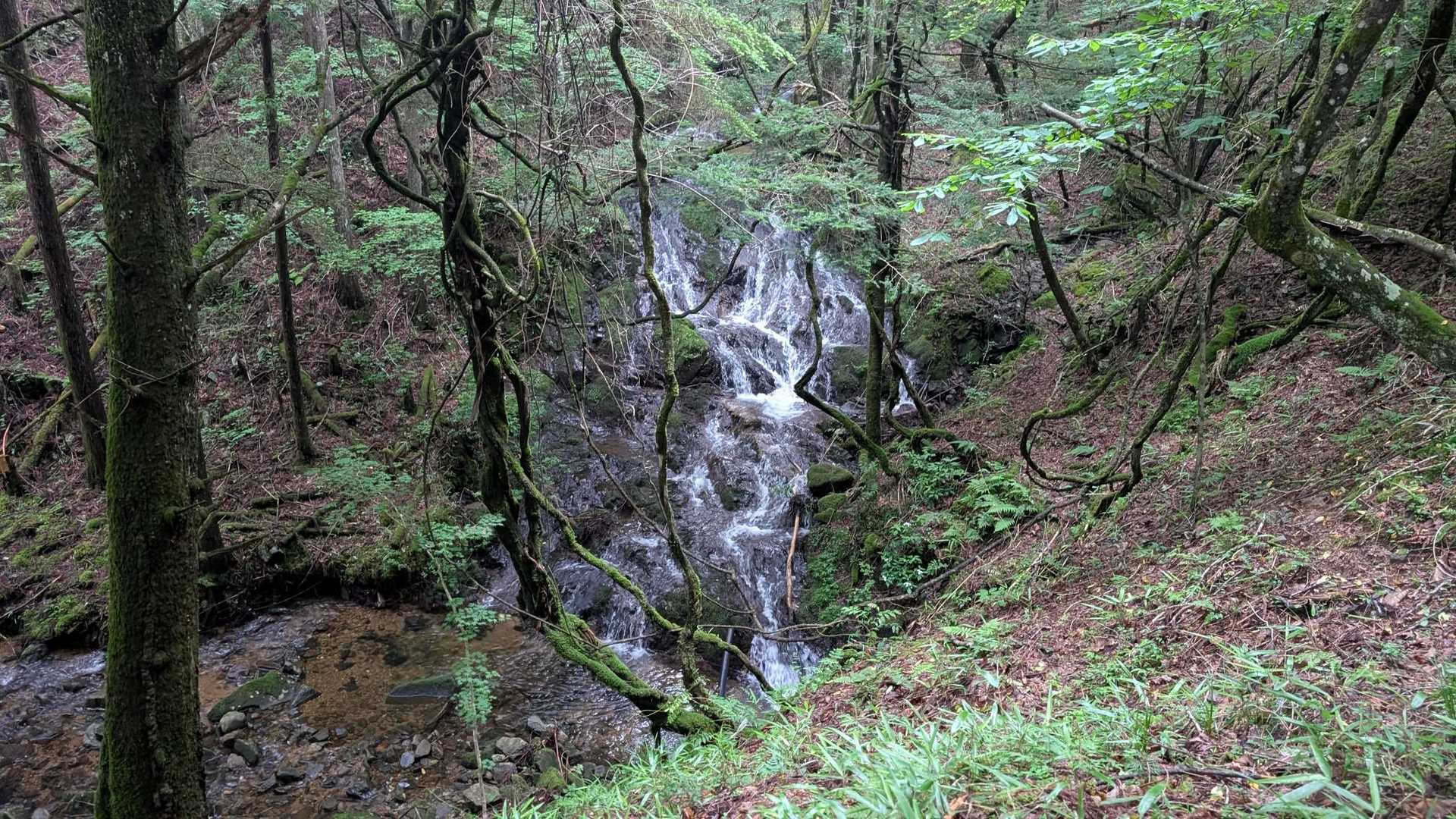 左側の川にある滝。