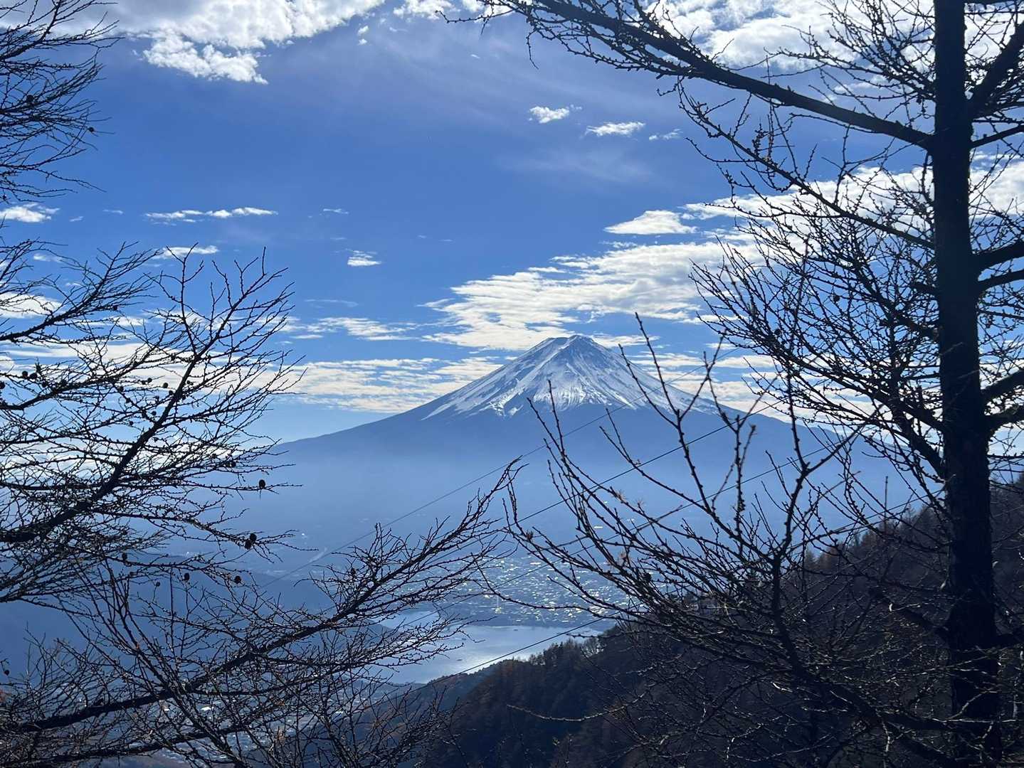 いい眺めです