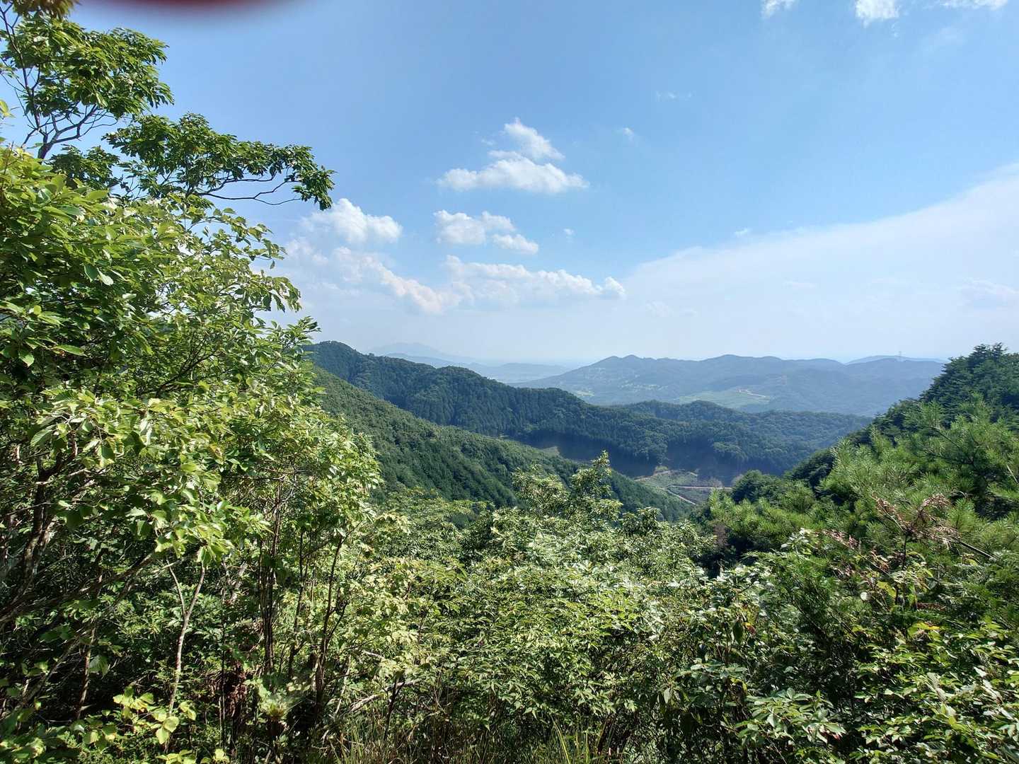 大川戸登山口-大川戸鉱泉跡-三登谷山 周回コースの写真