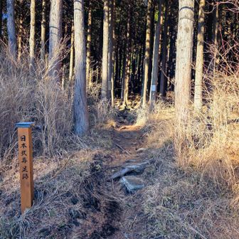 ここから登ったのですがまあ分かりにくい。道迷い注意ですね