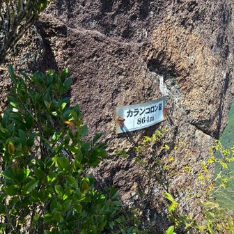 カランコロン岩

ピークちゃうよ笑

岩の裂け目があって
そこに石落とすとずっとカランコロンいって
落ちていくのよ🪨

岩の上行けるんだけど💦
ロープボロボロで辞めといたよ

そして岩の裂け目に石を落とすと
カランコロンしたけど💦

写真忘れた…だって眺望良すぎてゾワっと😱
するんだもん笑笑

直ぐに退散やで😵‍💫