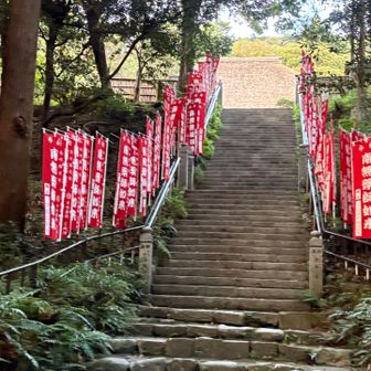 茅葺きの大屋根が、木々の向こうにポッカリと姿を現し
