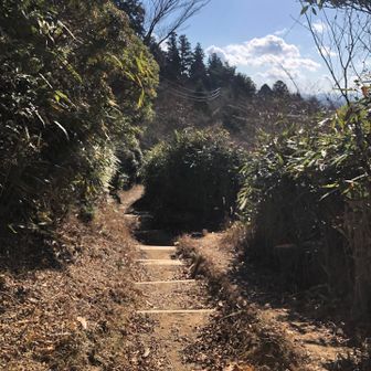 女人堂から山頂までの登りは木の根っこゴツゴツだったけど、山頂から下る大門への登山道は整備されてて歩きやすい