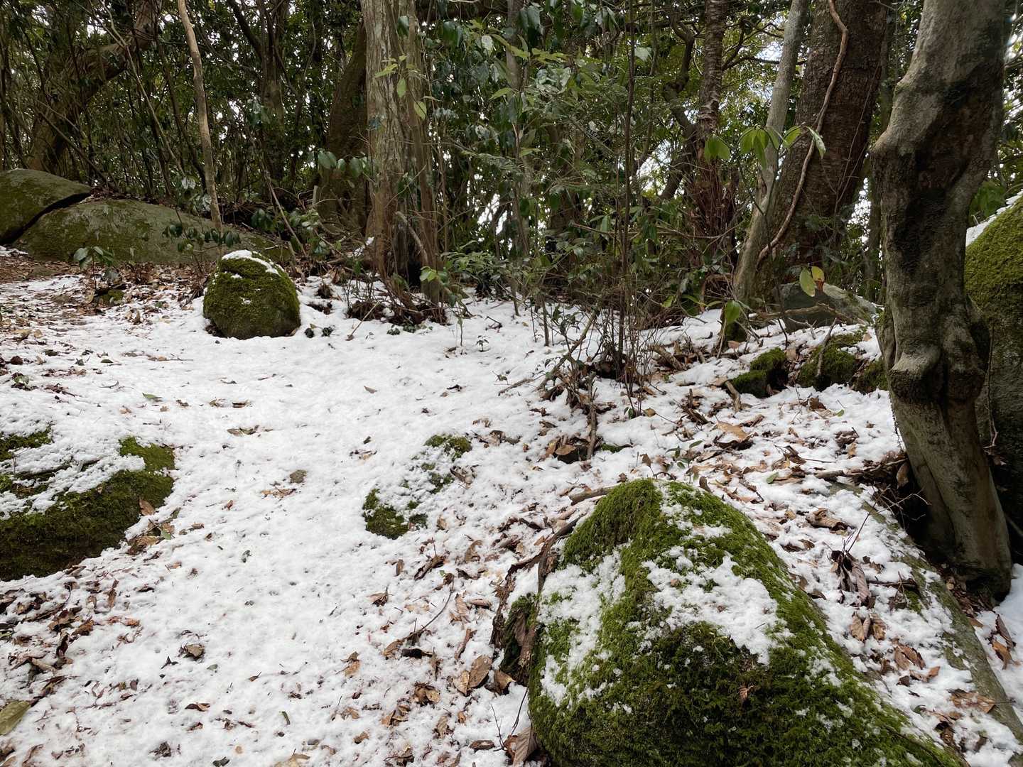白木峠-浮嶽 往復コースの写真
