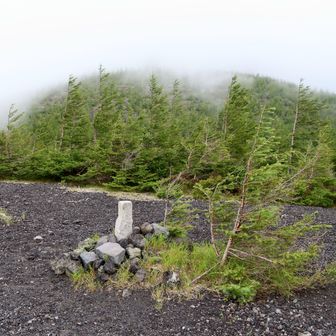 → 小天狗塚からの富士山は見えず、ガスガス