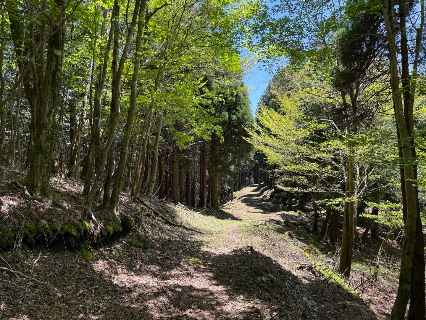 登りとは、また違った景色だよ😊