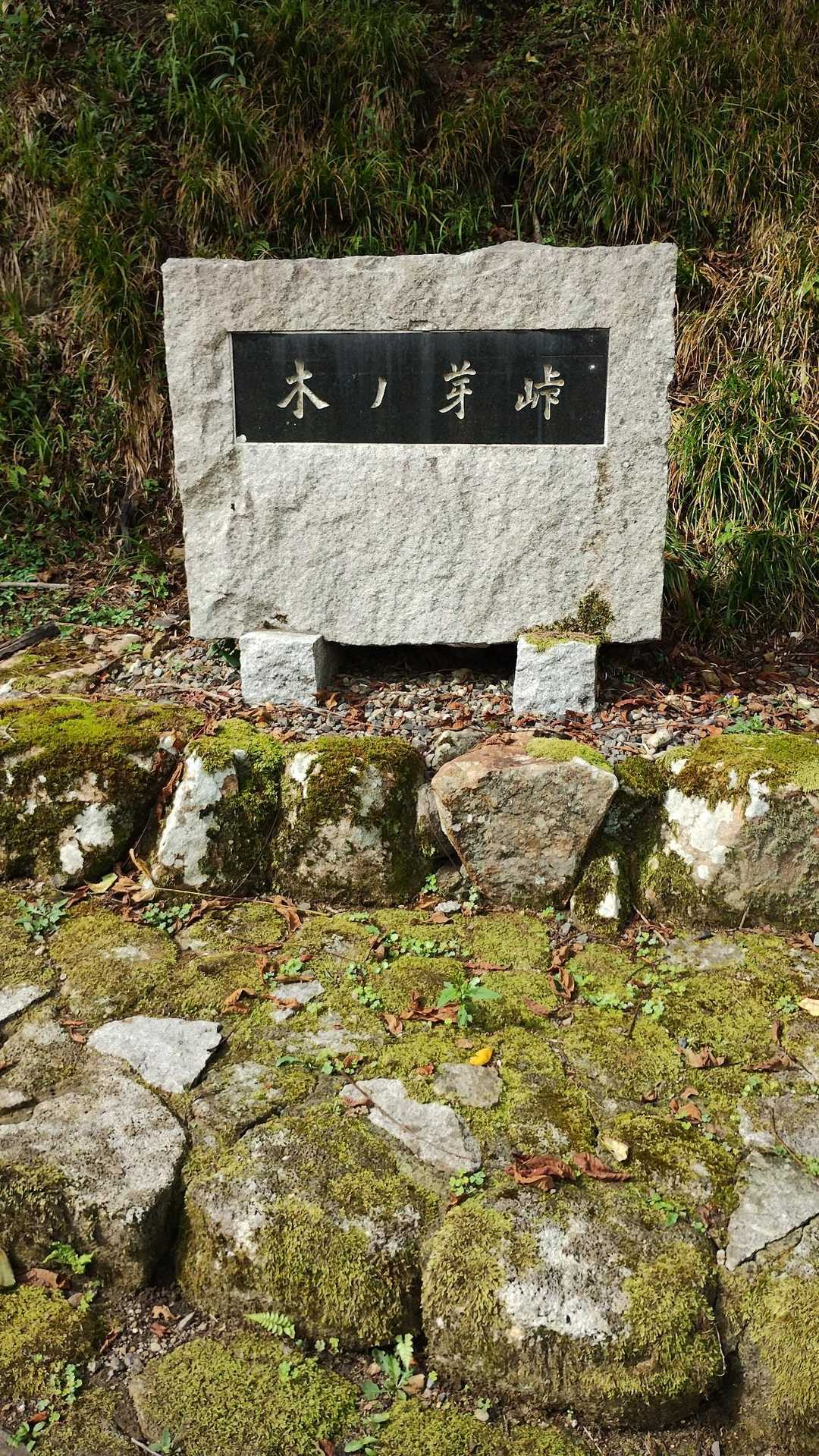 木ノ芽峠✨