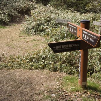 今日はここから➡️