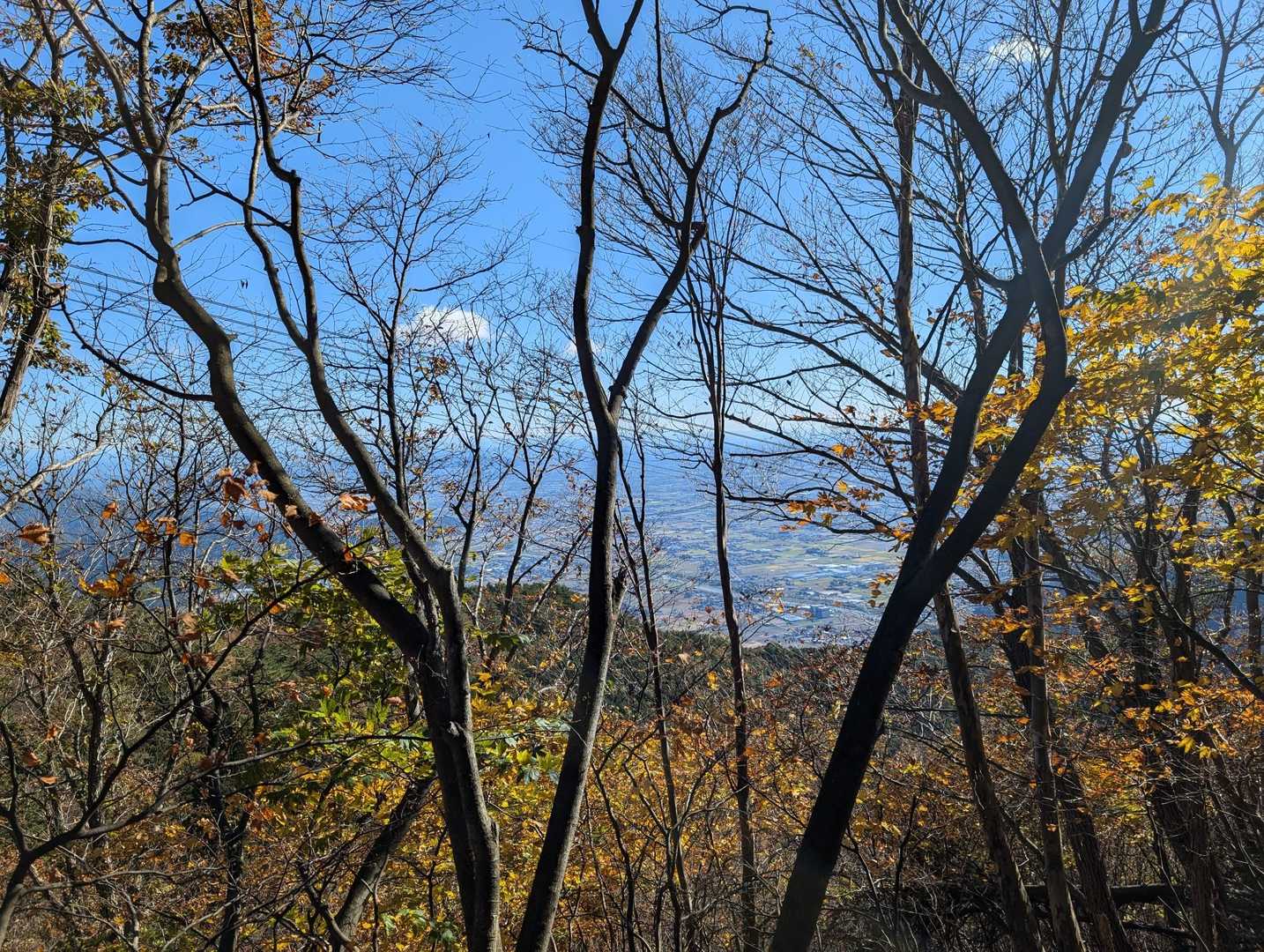 白樫城登り口石碑-白樫城址登山口-小島山 往復コースの写真