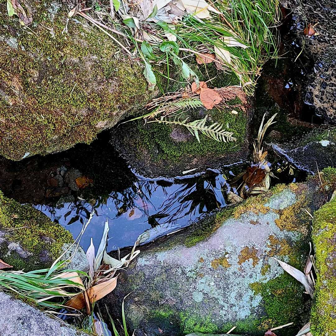 チセヌプリ 往復コースの写真