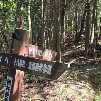 あと３００ｍ。これが最後の尾根かな