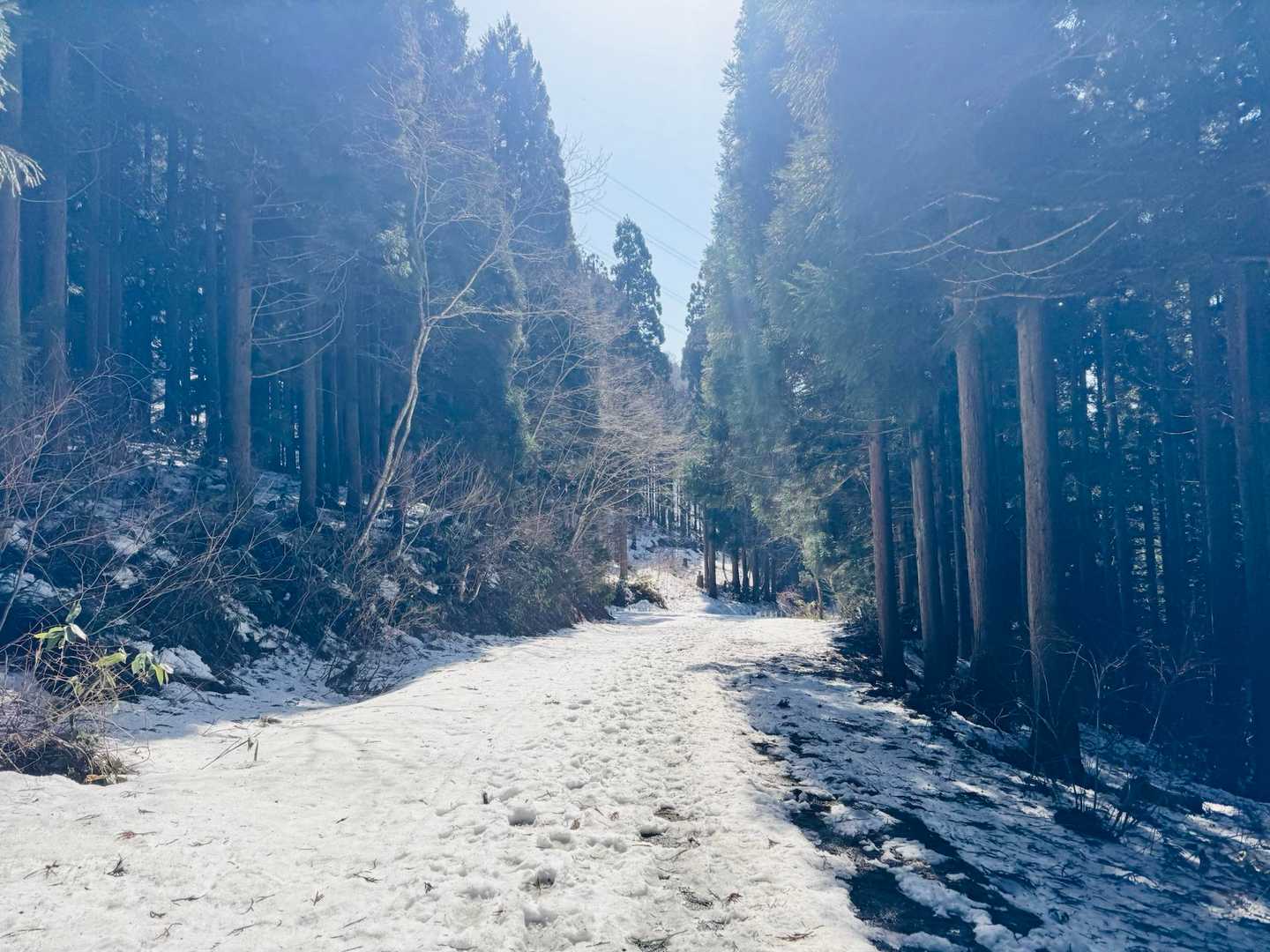 林道がズボズボ(´･_･`)
堪らず、今年初ワカン履きました(￣▽￣;)