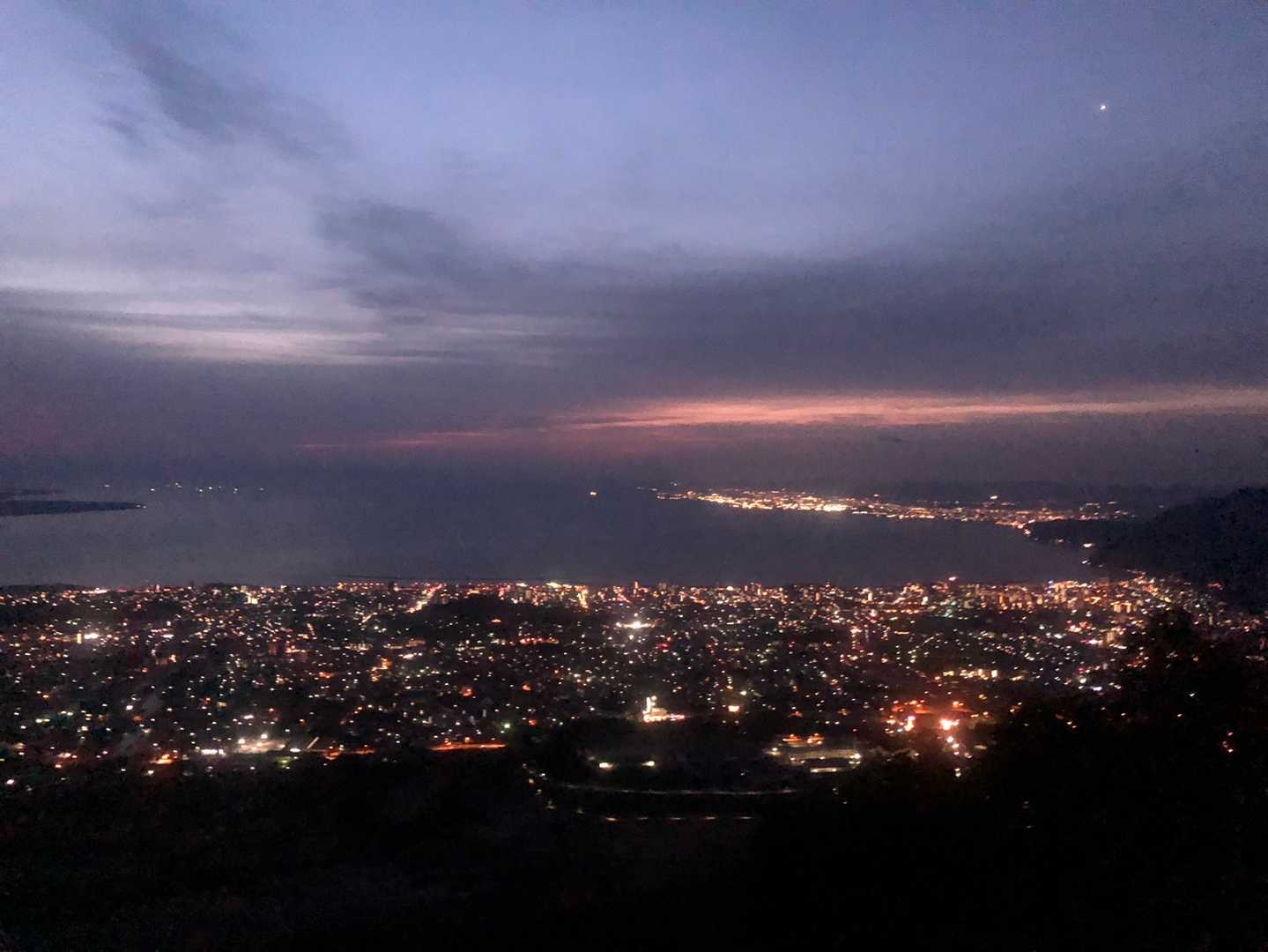 扇山 往復コースの写真