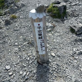 千丈乗越
ここからは歩いた道
登りはキツイよ〜