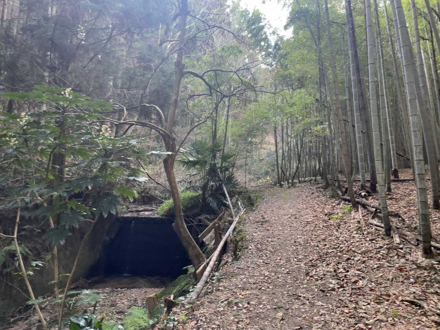 甘南備山 周回コースの写真