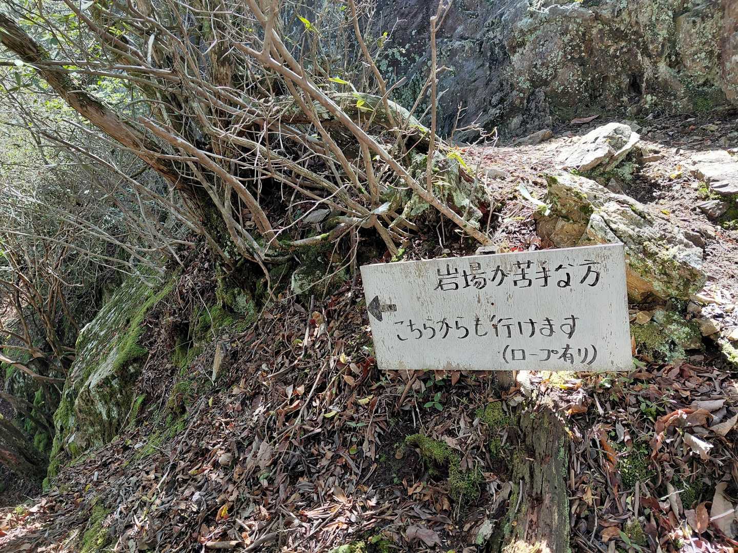 巻き道もあるよ