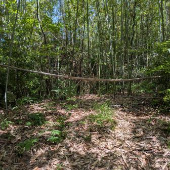高田山山頂▲