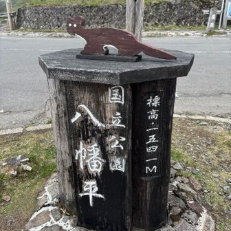 登山口前