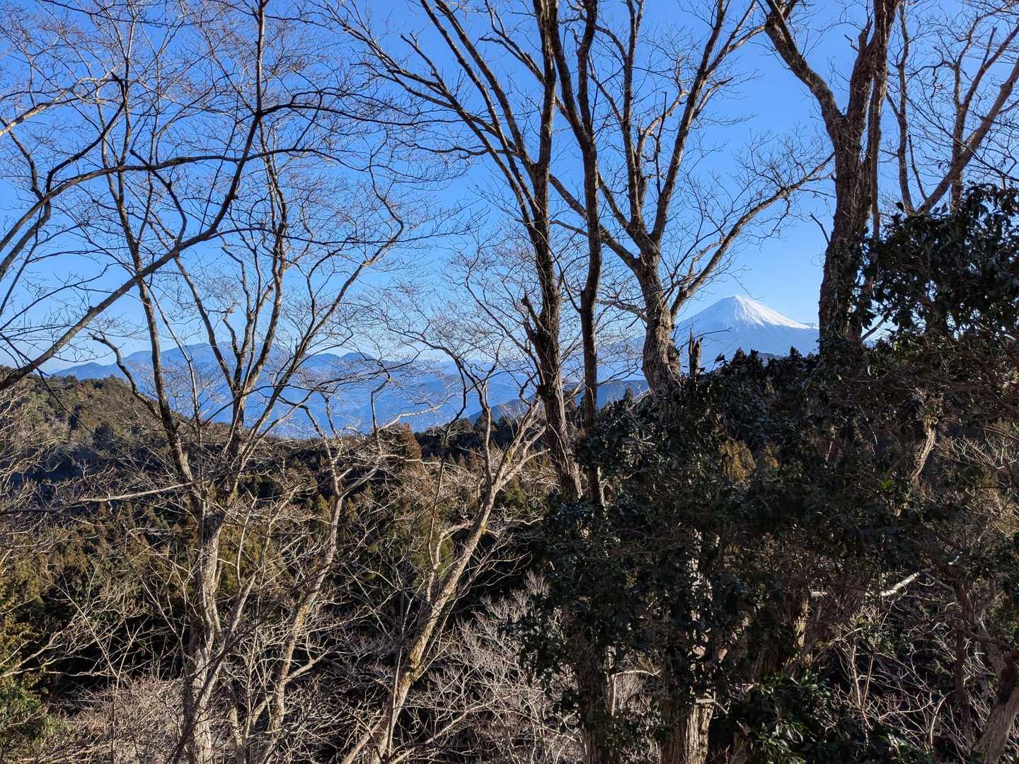 振り返ったら富士山チラッと見えてた🗻