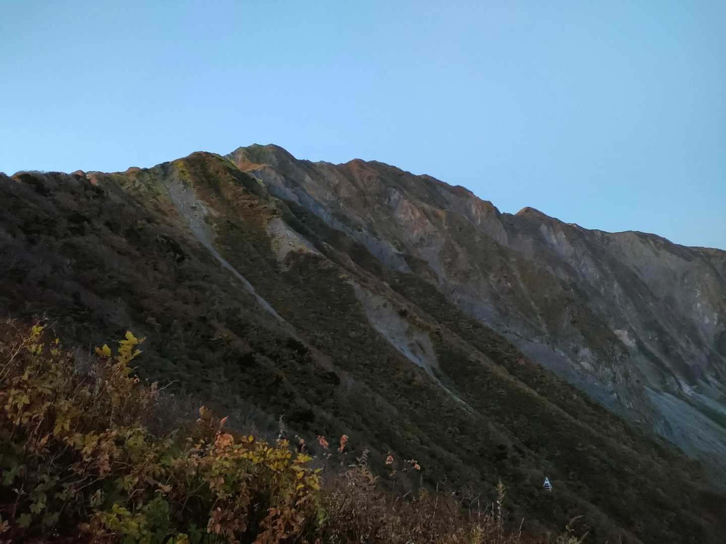 大山の形、朝になって確認できました😊