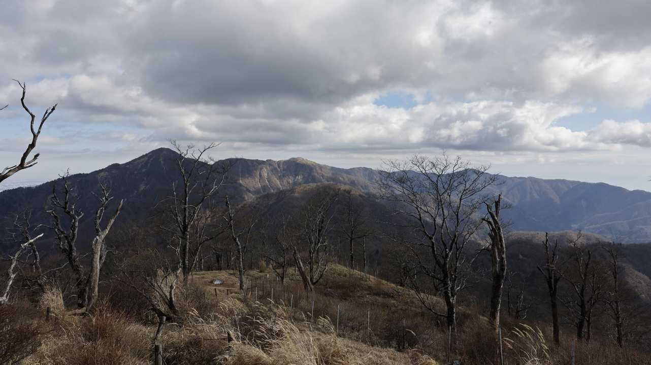丹沢主脈縦走（檜洞丸•蛭ヶ岳•丹沢山•塔ノ岳•鍋割山） の写真 14