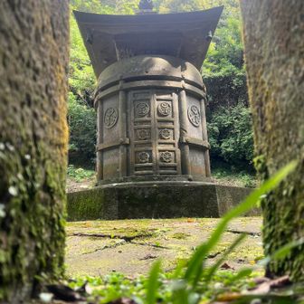 背伸びして、手を伸ばして撮って、この画角。