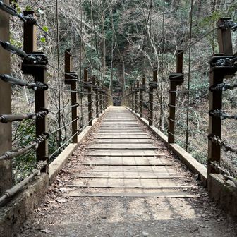 ４号路の吊り橋　好きな場所💕