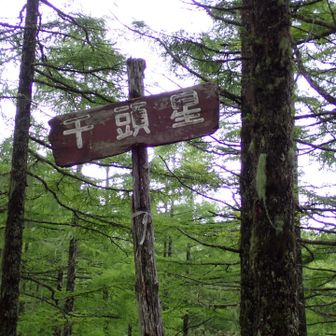 千頭星山に到着〜。、