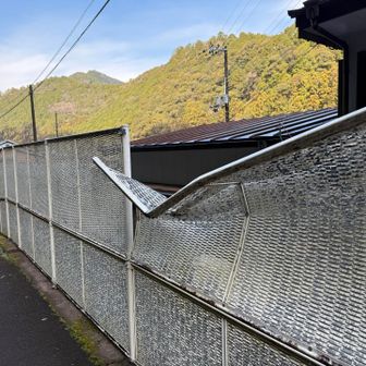 何があってこんな曲がり方に😅