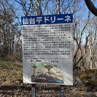 仙台平ドリーネ、初めて聞いて興味はあるも、現地確認せず😅