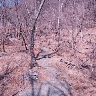 #𝕤𝕥𝕒𝕣𝕥➘ここからずっと急登です💪