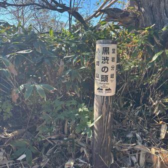 ここから八間山までじみにアップダウンあり