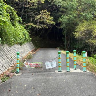眺望満喫コース登山口から登りマス
