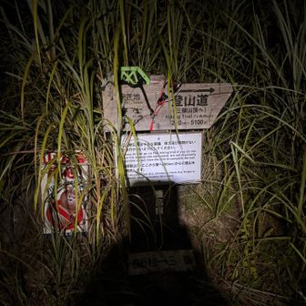 この看板見つけられずに、違う方向に行ってしまう・・・

写真見返した時、気づきましたが、
今回登った登山道より
名頃登山道登ることをお勧めしてる・・・