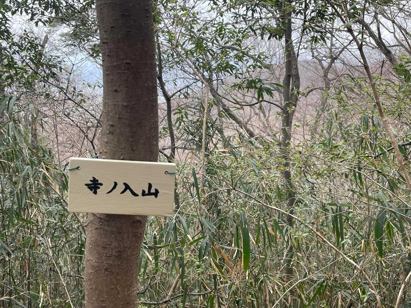 寺ノ入山通過～