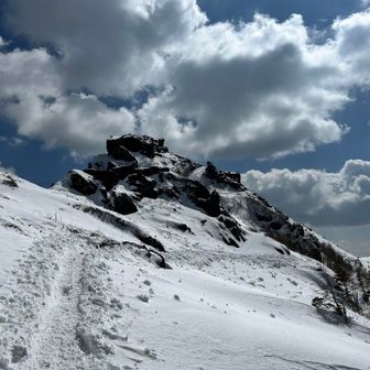 夏はまた違う感じなんだろうな🧐