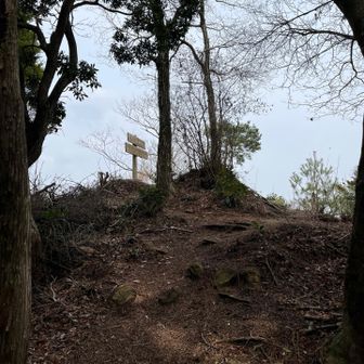 山頂が見えた❗️