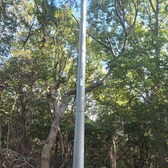 護摩ヶ森の道中に目印となる電柱。ここから登山路の角度が変わる
