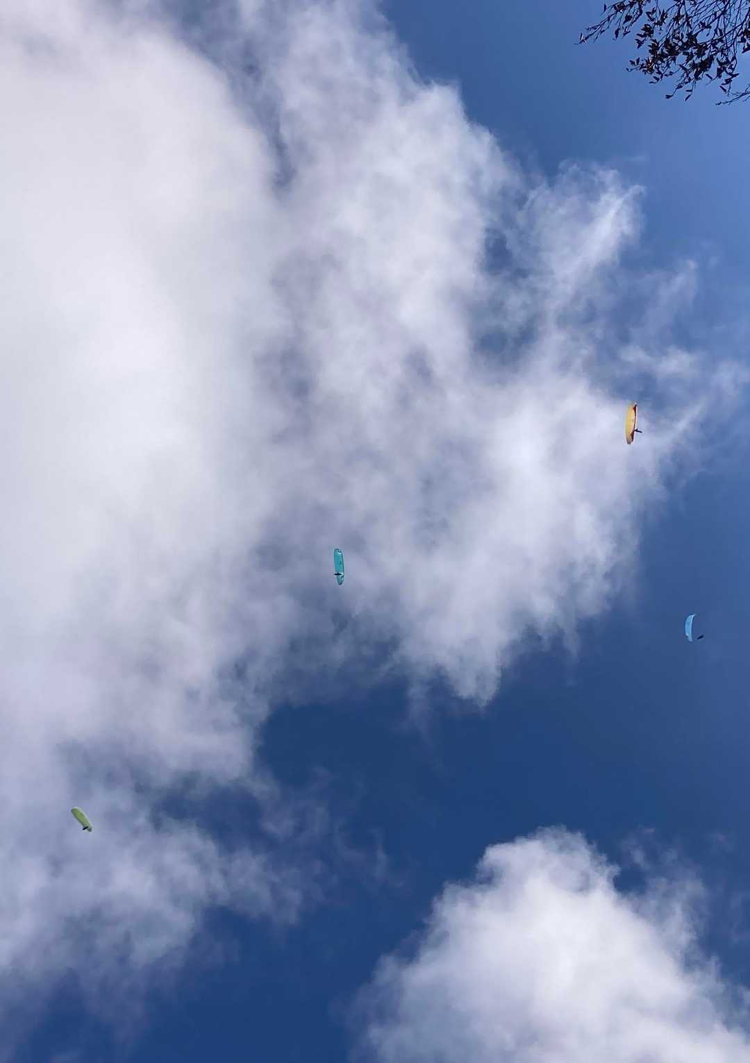 上空にはパラグライダー！