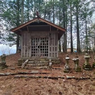 金毘羅神社・昔々八坂村人が印度の象頭山から金毘羅大権現を勧請したとの事です。