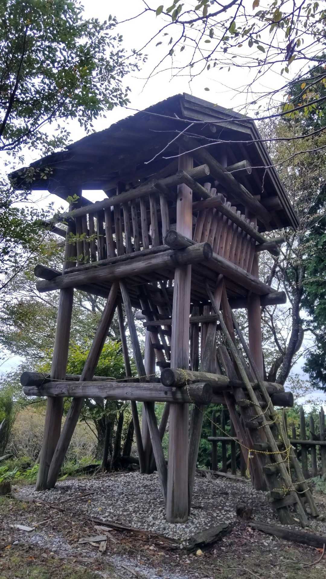 ❎登れません
登れたらどんな景色が見えるのかしら🤔