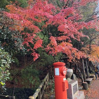 バス停からの道がきれいです
