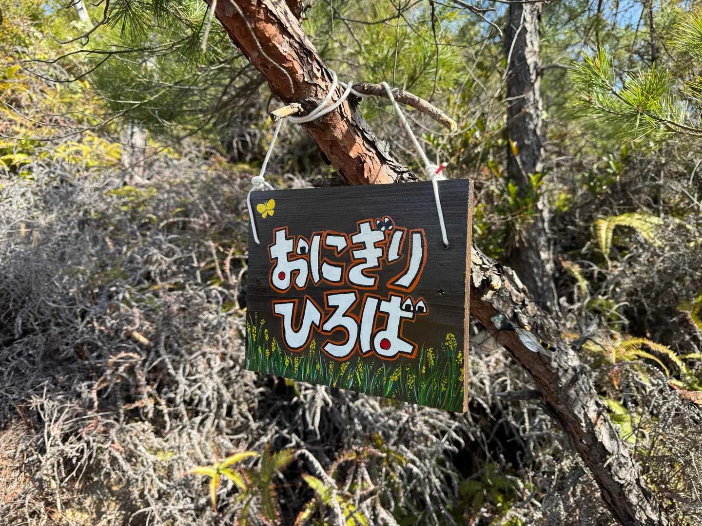 おにぎり広島　ここからの眺望も良いよ