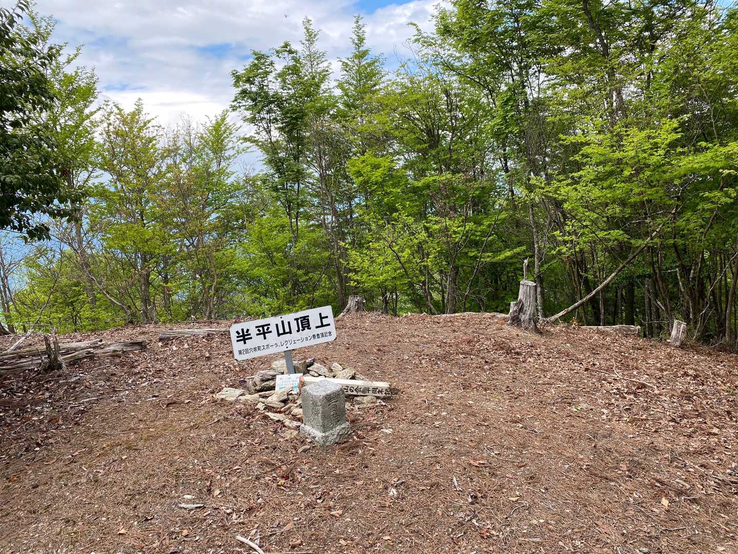 半平山の写真