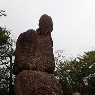 ココもいつものコース