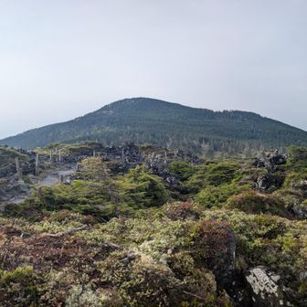 坪庭と縞枯山