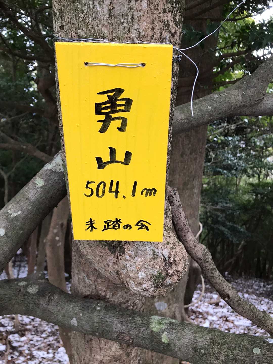 新しく取り付けた標識です！