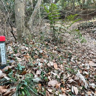 日の出アルプスがつづきます。