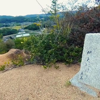 「月あかり　山王里山　映えにけり」正義さん作
素敵な句です！😀