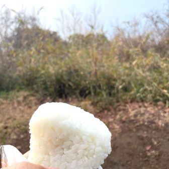 雨引山到着
おにぎりでカーボンチャージ
なんか小さくなってない？🙄